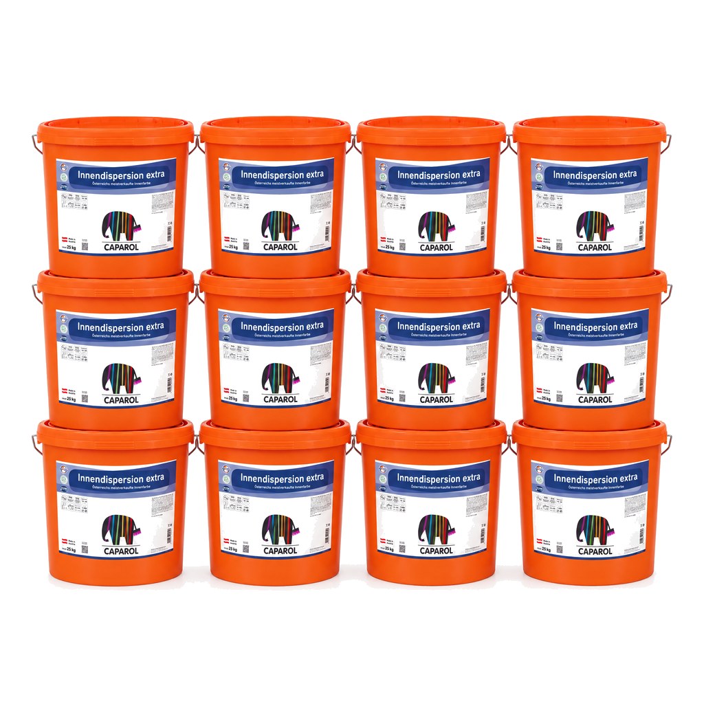 Sparset 12 × Innendispersion extra 25 kg